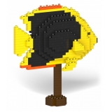 Jekca - Rock Beauty Angelfish 01S - Lego - Sculpture - Construction - 4D - Brick Animals - Toys