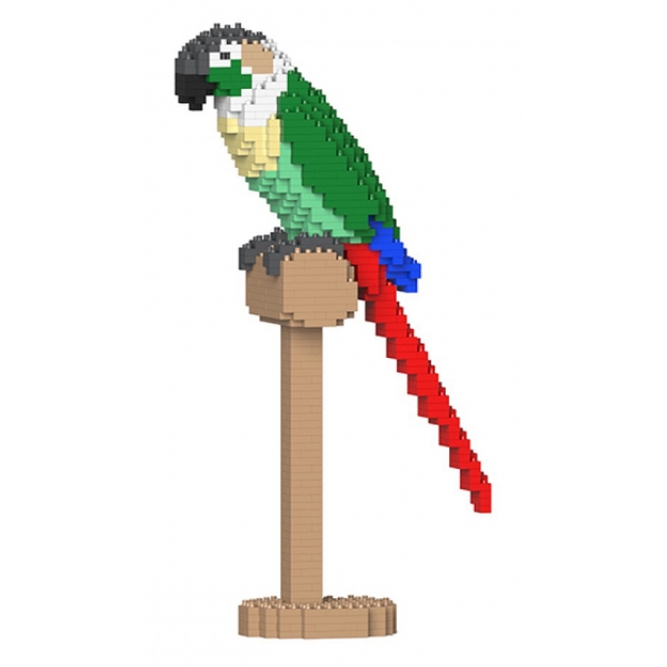 Jekca - Green Cheek Conure 01S-M02 - Lego - Scultura - Costruzione - 4D - Animali di Mattoncini - Toys