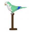 Jekca - Quaker Parrot 01S-M01 - Lego - Sculpture - Construction - 4D - Brick Animals - Toys