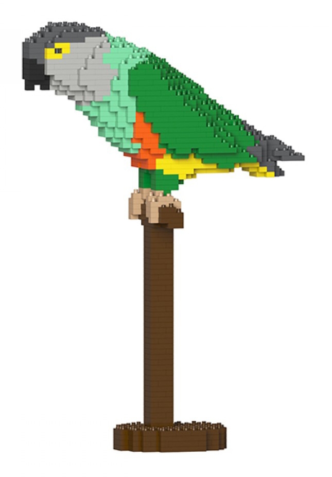 Jekca Senegal Parrot 01S Lego Scultura Costruzione 4D Animali di Mattoncini Toys Avvenice