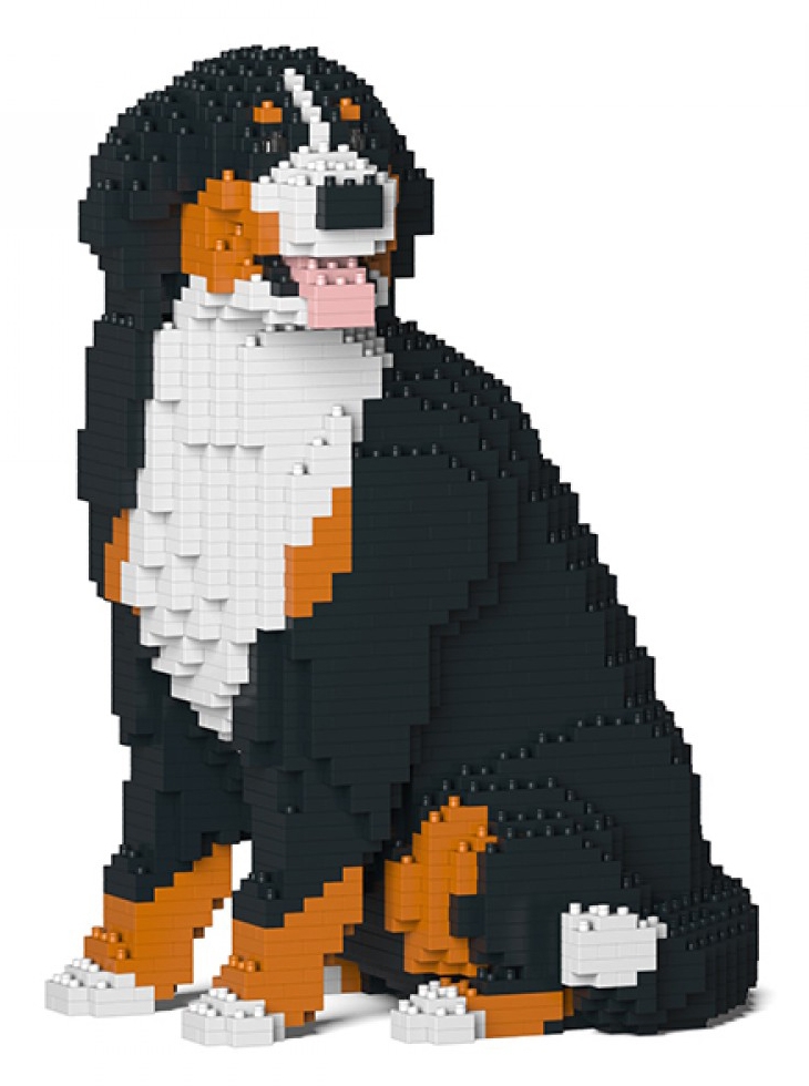 Jekca - Bernese Mountain Dog 05S - Lego - Scultura - Costruzione - 4D - Animali  di Mattoncini - Toys - Avvenice