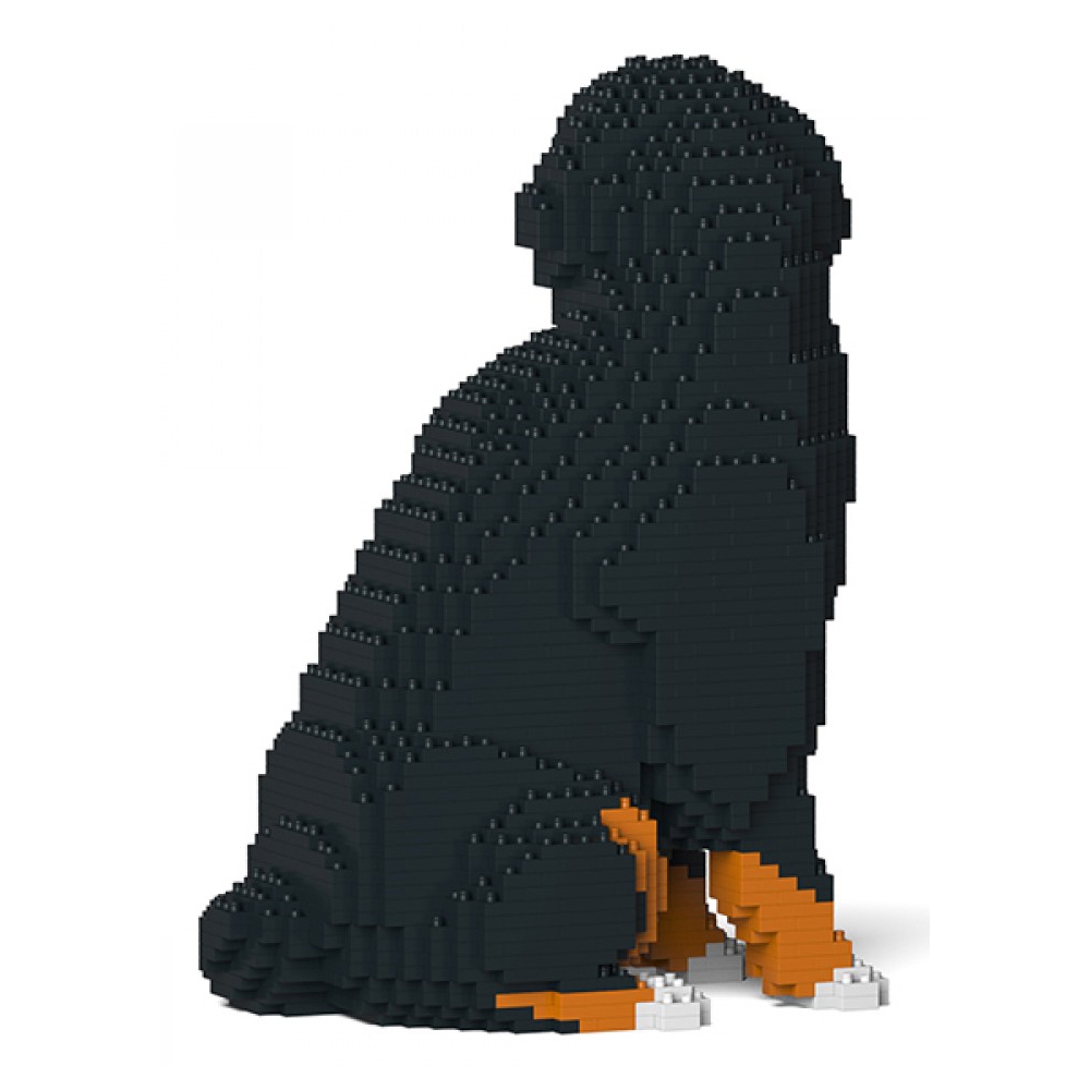 Bernese mountain 2024 dog lego