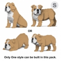 Jekca - English Bulldog 4-in-1 Pack 01S-M03 - Lego - Scultura - Costruzione - 4D - Animali di Mattoncini - Toys