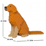 Jekca - Golden Retriever 03S-M02 - Lego - Sculpture - Construction - 4D - Brick Animals - Toys