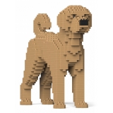 Jekca - Labradoodle 01S-M02 - Lego - Sculpture - Construction - 4D - Brick Animals - Toys