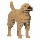 Jekca - Labrador Retriever 01S-M04 - Lego - Scultura - Costruzione - 4D - Animali di Mattoncini - Toys
