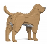 Jekca - Labrador Retriever 01S-M04 - Lego - Sculpture - Construction - 4D - Brick Animals - Toys