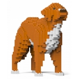 Jekca - Nova Scotia Duck Tolling Retriever 01S - Lego - Sculpture - Construction - 4D - Brick Animals - Toys