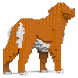 Jekca - Nova Scotia Duck Tolling Retriever 01S - Lego - Sculpture - Construction - 4D - Brick Animals - Toys
