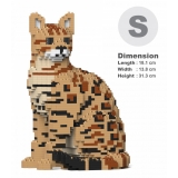 Jekca - Bengal Cat 4-in-1 Pack 01S-M01 - Lego - Scultura - Costruzione - 4D - Animali di Mattoncini - Toys