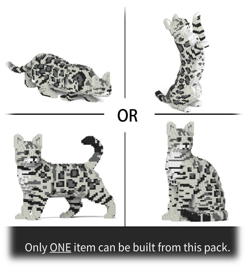 jekca-bengal-cat-4-in-1-pack-