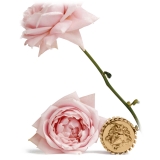 Versace - Éclat de Rose EDP - Exclusive Collection - Profumo Luxury - 100 ml