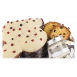Vincente Delicacies - Artisan Easter Dove - Berries and White Chocolate with Chocolate Spread Cream Jar - Ensamble - Gift Box