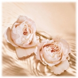 Jimmy Choo - Tempting Rose EDP - Eau de Parfum Tempting Rose - Exclusive Collection - Luxury Fragrance - 125 ml
