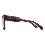 Chloé - Gayia Sunglasses in Acetate - Havana Brown - Chloé Eyewear