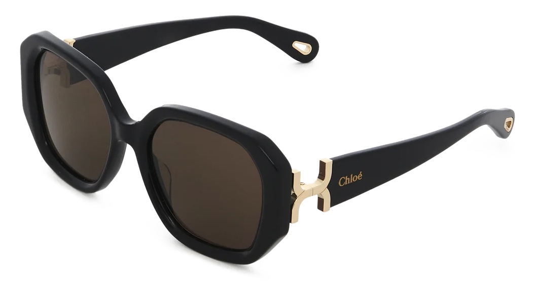 Chloe Sunglasses Oversized hot Plastic Brown CL2219