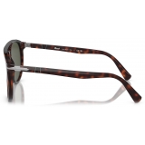 Persol - PO3311S - Havana / Green - Sunglasses - Persol Eyewear