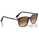Persol - PO1935S - Havana / Clear Gradient Brown - Sunglasses - Persol Eyewear