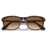 Persol - PO1935S - Havana / Clear Gradient Brown - Sunglasses - Persol Eyewear