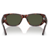 Persol - PO3307S - Havana / Green - Sunglasses - Persol Eyewear