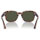Persol - PO3305S - Havana / Green - Sunglasses - Persol Eyewear