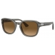 Persol - PO3305S - Grey Taupe Transparent / Brown Polarized - Sunglasses - Persol Eyewear