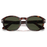 Persol - PO3304S - Havana / Green - Sunglasses - Persol Eyewear