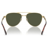 Persol - PO1003S - Gold / Green - Sunglasses - Persol Eyewear