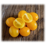 BioOrto - Organic Yellow Datterino Tomatoes - Organic Preserved Foods - 360 g