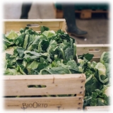 BioOrto - Organic Cauliflower Cream - Organic Preserved Foods - 180 g