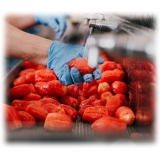 BioOrto - Organic Peeled Tomatoes - Organic Preserved Foods - 1 kg