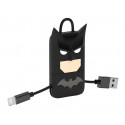 Tribe - Batman - DC Comics - Cavo Lightning USB - Portachiavi - Dati e Ricarica per Apple iPhone - Certificato MFi - 22 cm