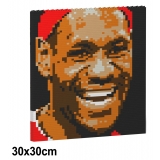 Jekca - LeBron James Brick Painting 04S - Lego - Sculpture - Construction - 4D - Brick Animals - Toys