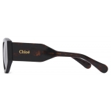 Chloé - Gayia Sunglasses in Acetate - Dark Havana Brown - Chloé Eyewear