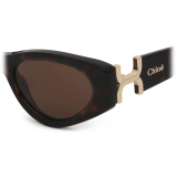 Chloé - Marcie Sunglasses in Acetate - Dark Havana Light Brown - Chloé Eyewear