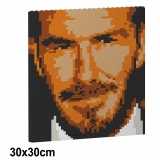 Jekca - David Beckham Brick Painting 04S - Lego - Sculpture - Construction - 4D - Brick Animals - Toys