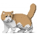 Jekca - Exotic Shorthair Cat 01S-M01 - Lego - Sculpture - Construction - 4D - Brick Animals - Toys