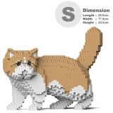 Jekca - Exotic Shorthair Cat 01S-M01 - Lego - Sculpture - Construction - 4D - Brick Animals - Toys