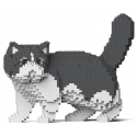 Jekca - Exotic Shorthair Cat 01S-M02 - Lego - Scultura - Costruzione - 4D - Animali di Mattoncini - Toys