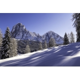 Alpenroyal Grand Hotel - V.I.P. 2 Bedroom Suite - 4 Days 3 Nights - Exclusive Luxury - Val Gardena - Trentino Italy