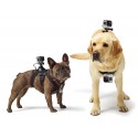 GoPro - Fetch - Imbracatura per Cani - Accessori GoPro