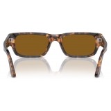 Persol - Adrien - Brown Havana / Brown - Sunglasses - Persol Eyewear