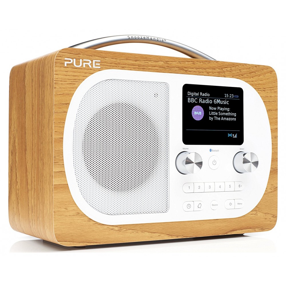 Pure - Evoke H4 - Quercia - Radio Portatile DAB / DAB + Radio FM con  Bluetooth - Radio Digitale di Alta Qualità - Avvenice