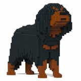 Jekca - Cavalier King Charles Spaniel 01-M04 - Big - Lego - Sculpture - Construction - 4D - Brick Animals - Toys