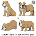 Jekca - English Bulldog 4-in-1 Pack 01-M03 - Big - Lego - Scultura - Costruzione - 4D - Animali di Mattoncini - Toys