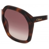 Chloé - Occhiali da Sole Salome - Havana Media Bordeaux Sfumato - Chloé Eyewear