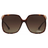 Chloé - Aly Sunglasses - Havana Gold Brown Gradient - Chloé Eyewear