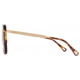 Chloé - Aly Sunglasses - Havana Gold Brown Gradient - Chloé Eyewear