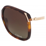 Chloé - Aly Sunglasses - Havana Gold Brown Gradient - Chloé Eyewear