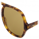 Chloé - Occhiali da Sole Salomé - Havana Sabbia Cachi - Chloé Eyewear